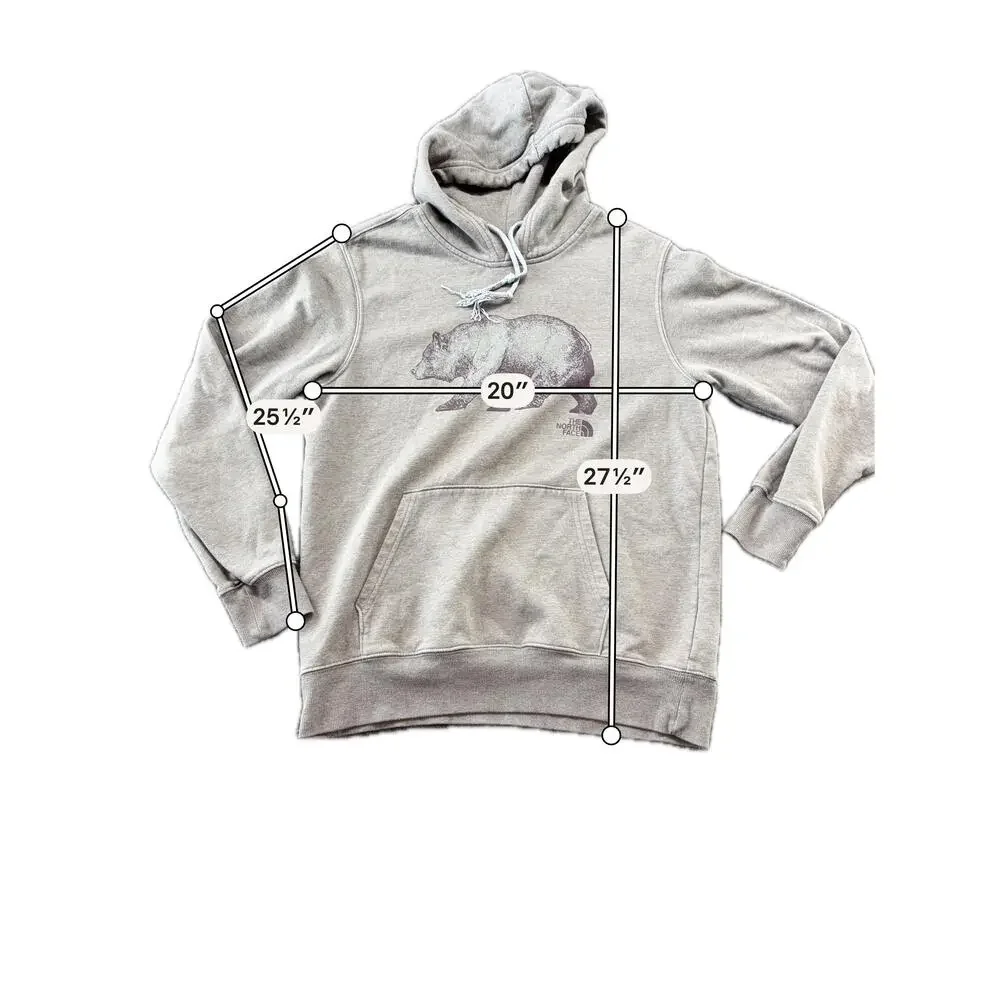 The North Face Hoodie Mens Medium Gray Bear Graphic Pullover Fleece Sweatshirt
